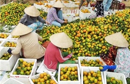 Liên kết chặt giữa “4 nhà”